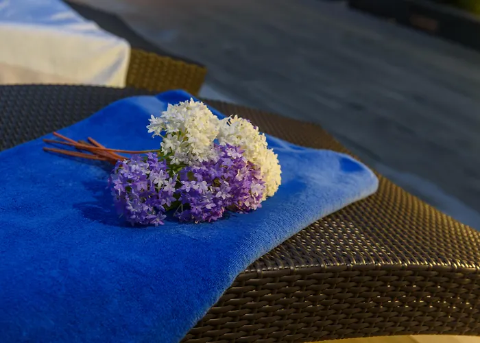 Hotel Alix